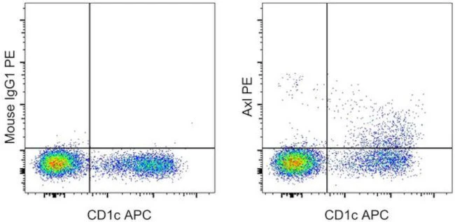 Axl Monoclonal Antibody (DS7HAXL), PE, eBioscience