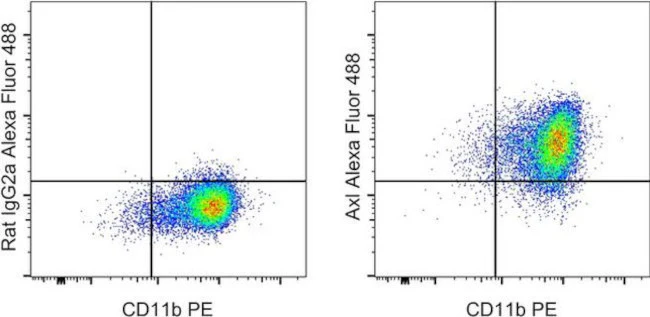 Axl Monoclonal Antibody (MAXL8DS), Alexa Fluor 488, eBioscience