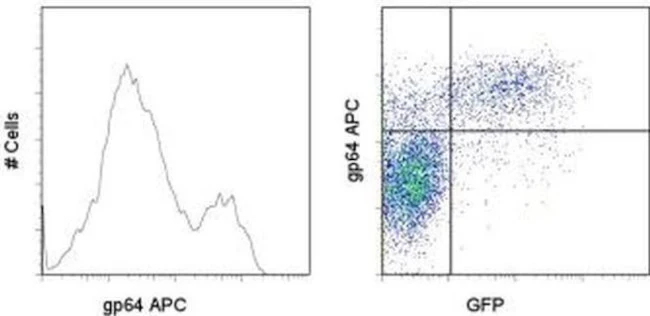 Baculovirus Envelope gp64 Monoclonal Antibody (AcV1), APC, eBioscience