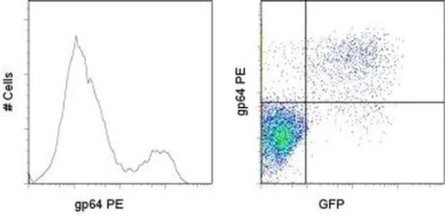 Baculovirus Envelope gp64 Monoclonal Antibody (AcV1), PE, eBioscience