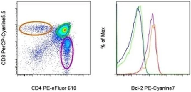 Bcl-2 Monoclonal Antibody (10C4), PE-Cyanine7, eBioscience