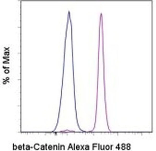 beta Catenin Monoclonal Antibody (15B8), Alexa Fluor 488, eBioscience