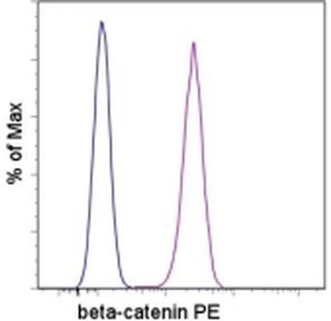 beta Catenin Monoclonal Antibody (15B8), PE, eBioscience