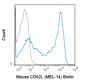 Biotin Anti-Mouse CD62L (L-Selectin) (MEL-14)