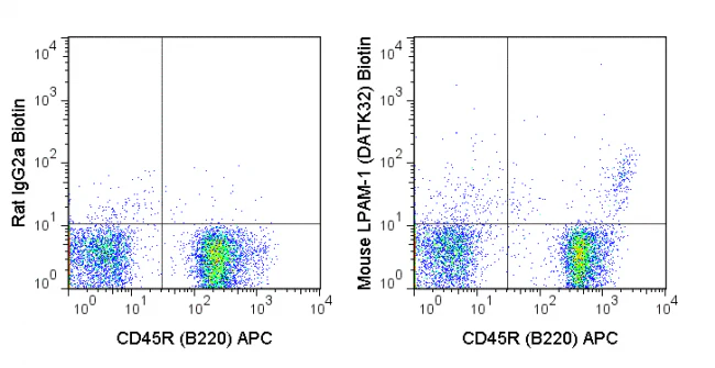 Biotin Anti-Mouse LPAM-1 (DATK32)
