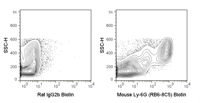 Biotin Anti-Mouse Ly-6G/Ly-6C (Gr-1) (RB6-8C5)
