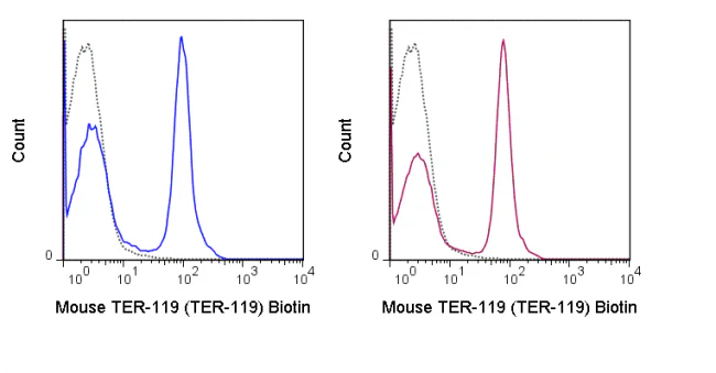 Biotin Anti-Mouse TER-119 (TER-119) - Image 2