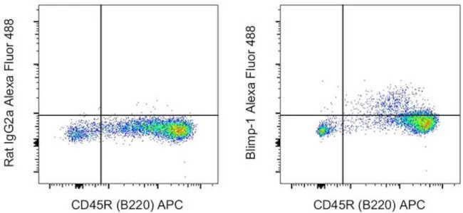 Blimp-1 Monoclonal Antibody (5E7), Alexa Fluor 488, eBioscience
