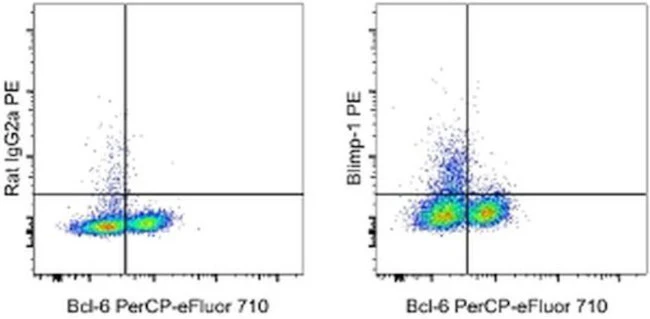 Blimp-1 Monoclonal Antibody (5E7), PE, eBioscience