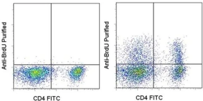 BrdU Monoclonal Antibody (BU20A), eBioscience