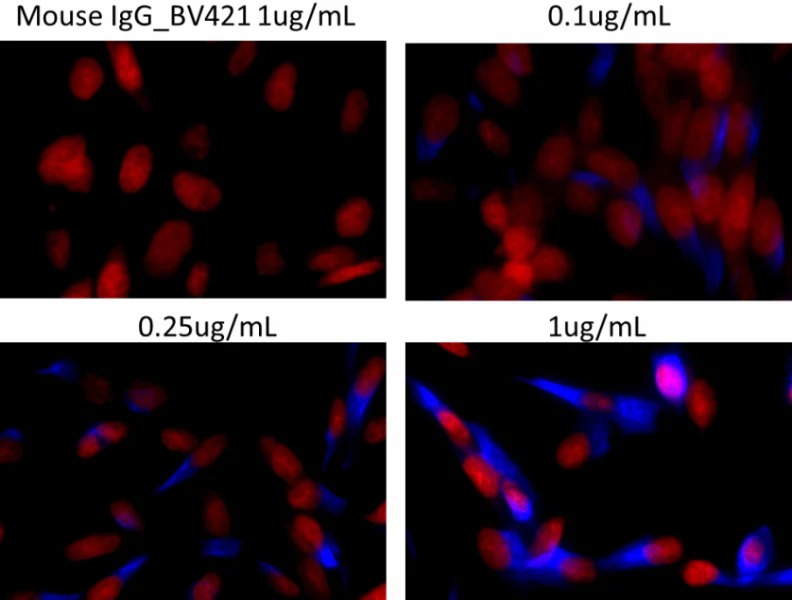 Brilliant Violet 421™ anti-HA.11 Epitope Tag - Image 2