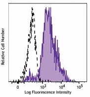 Brilliant Violet 421â„¢ anti-human CD115 (CSF-1R)