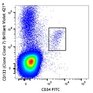 Brilliant Violet 421™ anti-human CD133