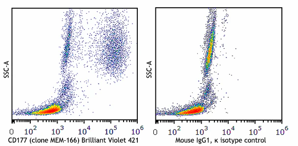 Brilliant Violet 421™ anti-human CD177