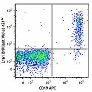 Brilliant Violet 421™ anti-human CD1c