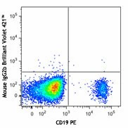 Brilliant Violet 421™ anti-human CD20 - Image 2