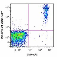 Brilliant Violet 421™ anti-human CD24