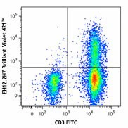 Brilliant Violet 421™ anti-human CD279 (PD-1)