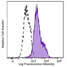 Brilliant Violet 421™ anti-human CD309 (VEGFR2)