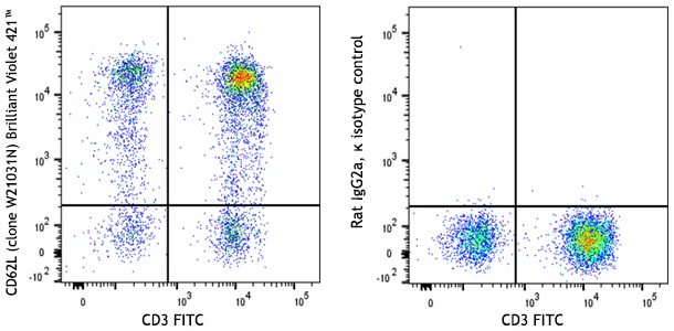 Brilliant Violet 421™ anti-human CD62L