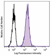 Brilliant Violet 421™ anti-human CD80