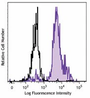 Brilliant Violet 421™ anti-human CD86