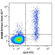 Brilliant Violet 421™ anti-human IgM