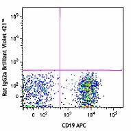 Brilliant Violet 421™ anti-mouse CD138 (Syndecan-1) - Image 2