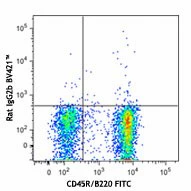 Brilliant Violet 421™ anti-mouse CD185 (CXCR5) - Image 2