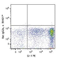 Brilliant Violet 421™ anti-mouse CD193 (CCR3) - Image 2