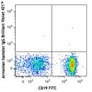 Brilliant Violet 421™ anti-mouse CD3ε - Image 2