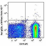 Brilliant Violet 421™ anti-mouse CD3 - Image 2