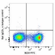 Brilliant Violet 421™ anti-mouse CD317 (BST2, PDCA-1) - Image 2