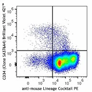 Brilliant Violet 421™ anti-mouse CD34