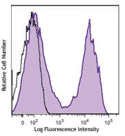 Brilliant Violet 421™ anti-mouse CD5