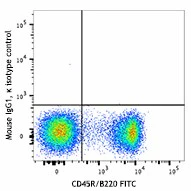 Brilliant Violet 421™ anti-mouse CD66a (CEACAM1a) - Image 2