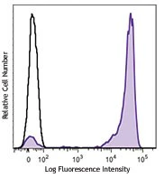 Brilliant Violet 421™ anti-mouse Ly-6G/Ly-6C (Gr-1)