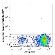 Brilliant Violet 421™ anti-mouse Notch 1 - Image 2