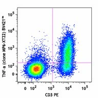 Brilliant Violet 421™ anti-mouse TNF-α