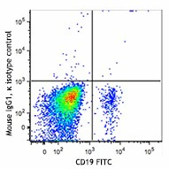Brilliant Violet 510™ anti-human CD1c - Image 2