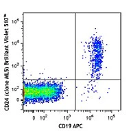 Brilliant Violet 510™ anti-human CD24
