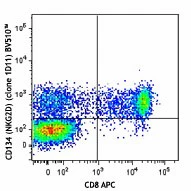 Brilliant Violet 510™ anti-human CD314 (NKG2D)