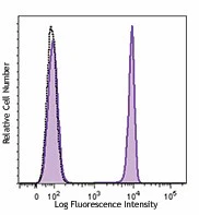 Brilliant Violet 510™ anti-human CD4