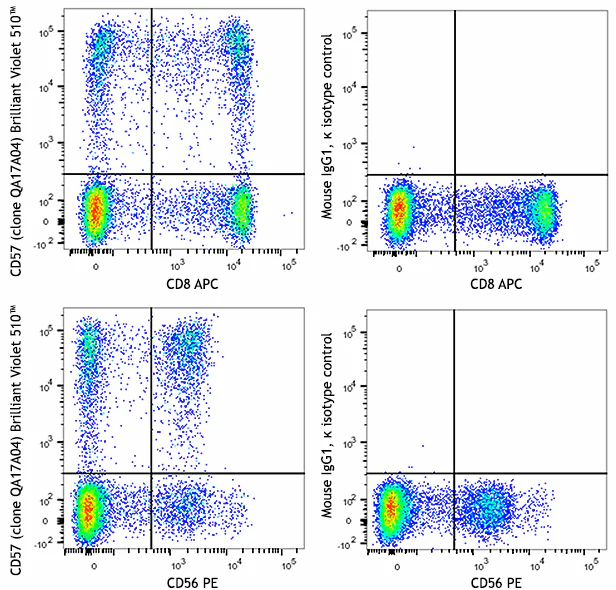 Brilliant Violet 510™ anti-human CD57 Recombinant