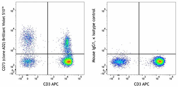 Brilliant Violet 510™ anti-human CD73 (Ecto-5'-nucleotidase)