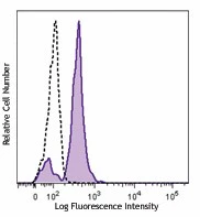 Brilliant Violet 510™ anti-human CD86