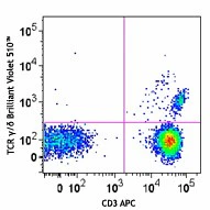 Brilliant Violet 510™ anti-human TCR γ/δ