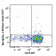 Brilliant Violet 510™ anti-mouse CD138 (Syndecan-1) - Image 2