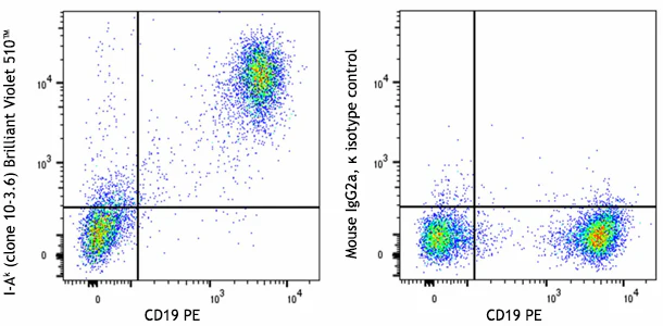 Brilliant Violet 510™ anti-mouse I-Ak (Aβk)
