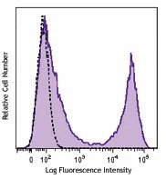 Brilliant Violet 510™ anti-rat CD90/mouse CD90.1 (Thy-1.1)